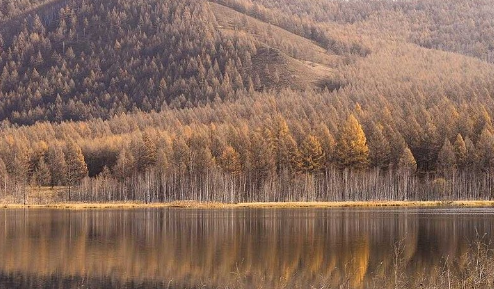 2025国庆草原绿吗？内蒙游热度如何