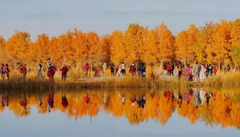 原问题额济纳胡杨国庆人多吗2025年预测如何