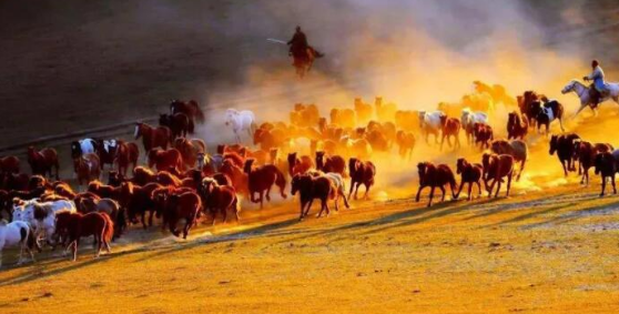 赤峰几月份开始变冷？秋季旅游最佳时间