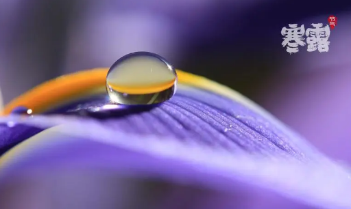 2025年寒露后会降温吗？秋冻养生怎么做