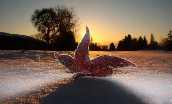 2025年初霜何时到？会影响供暖吗