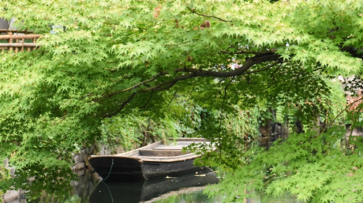 拙政园必须提前一天预定吗?当天能预约吗