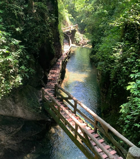 青城山为什么不能去?封山原因是什么
