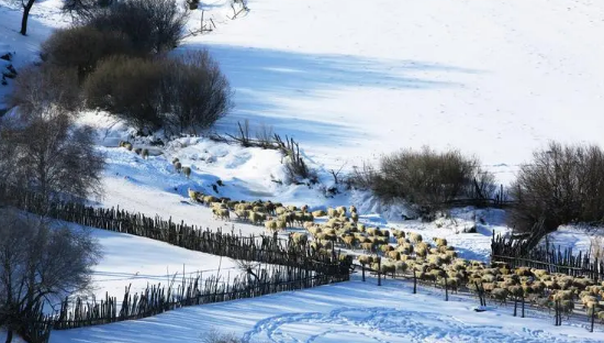 2025立冬冷点好还是热点好？热点更佳吗