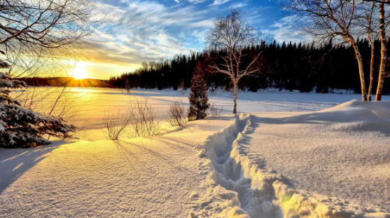 原问题？2025立冬气温骤降引热议