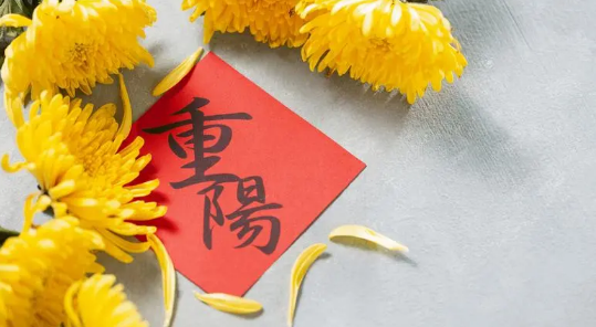 2025重阳节是哪天?今年重阳节如何庆祝