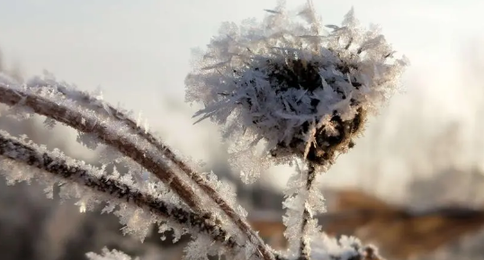 2025年十月长白山有雾凇吗?雾凇最佳观赏时间