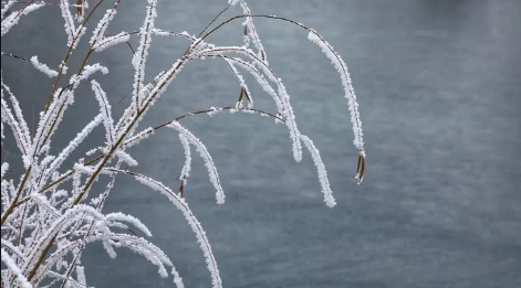 2025年十月长白山有雾凇吗?雾凇最佳观赏时间