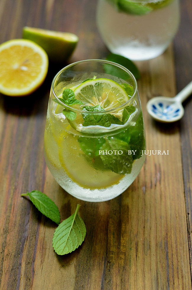 十款柠檬鸡尾酒配方,轻松调出清爽夏日风味-图3 十款柠檬鸡尾酒配方,轻松调出清爽夏日风味-图3