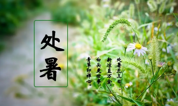 处暑后白天变短了吗?秋分昼夜等长何时来