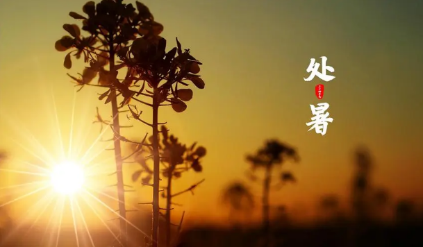 处暑后白天变短了吗?秋分昼夜等长何时来