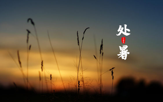 2025处暑为何还那么热?秋老虎为何更凶猛