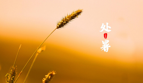 处暑为何在立秋后?秋老虎何时结束