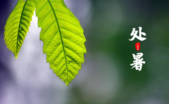 处暑就是末伏吗?末伏后还热多久