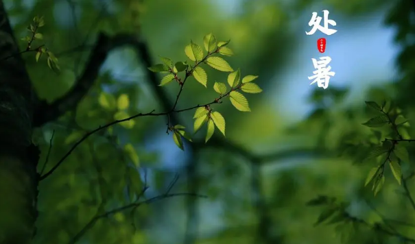 2025处暑天气特点?高温会持续多久