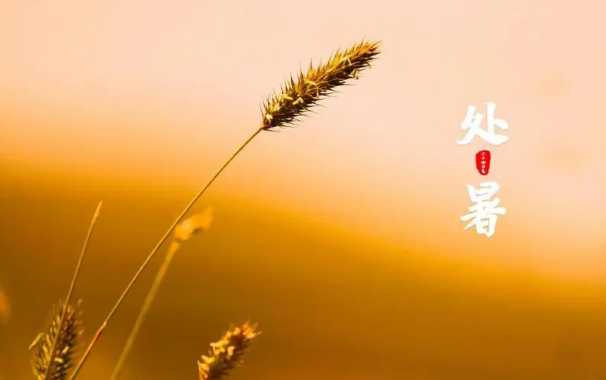 2025年处暑何时?高温天气将持续多久?