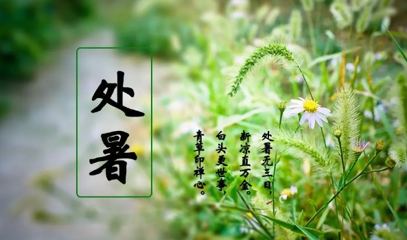 2025年处暑何时?高温天气将持续多久?