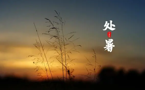 处暑是最后一个伏天吗?末伏后天气还热吗