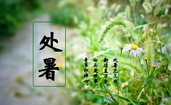 处暑交运何时?哪些人走大运?