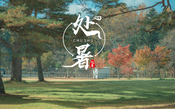 处暑交运不能出门吗?交运日禁忌有哪些