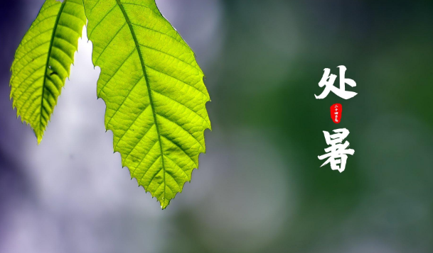 处暑交运不能出门吗?交运日禁忌有哪些