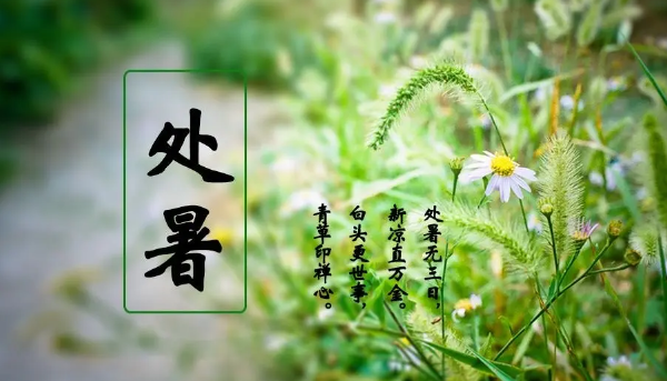 处暑交运不能出门吗?交运日禁忌有哪些