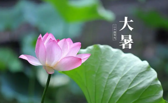 处暑和大暑哪个更热?秋老虎更凶吗