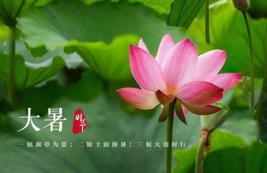 处暑和大暑哪个更热?秋老虎更凶吗