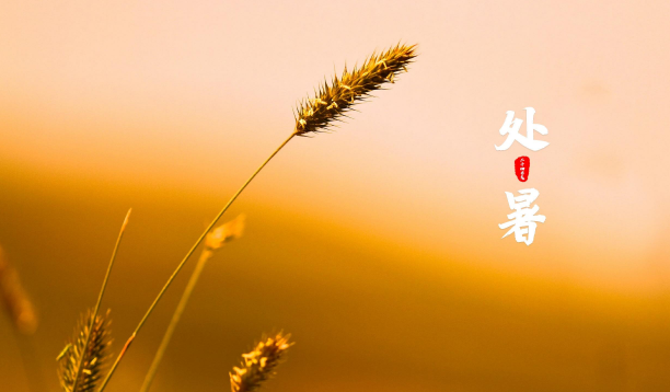 处暑和大暑哪个更热?秋老虎更凶吗