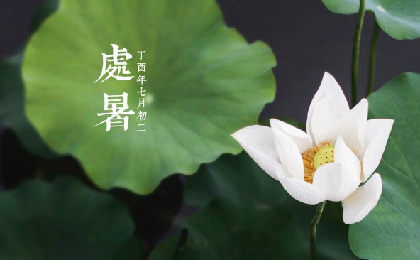 处暑是第几个节气?秋老虎何时结束