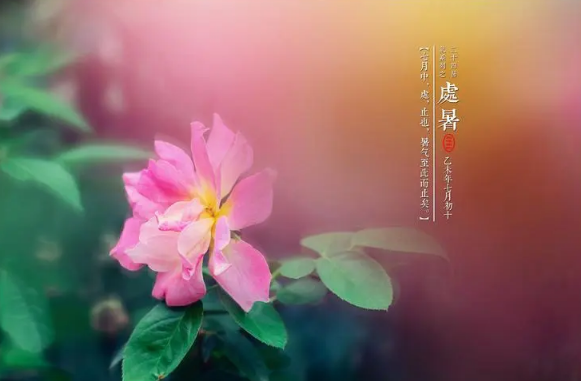 立秋凉快还是处暑凉快?秋后何时降温明显