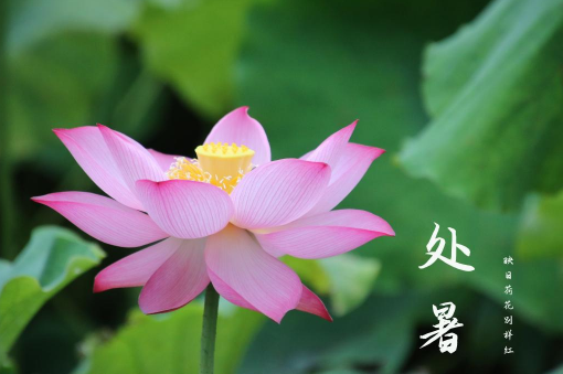 立秋凉快还是处暑凉快?秋后何时降温明显