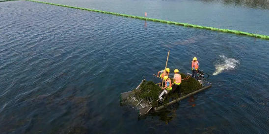 2025年武汉天气几月份开始冷?秋季降温何时来临