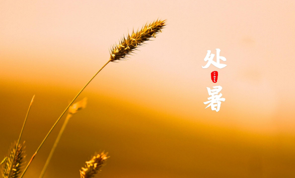 原问题?2025处暑后还会35度以上吗