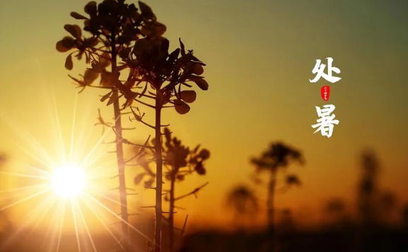 原问题?2025处暑后还会35度以上吗