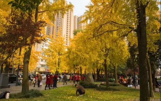 2025成都八月末热吗?九月开学气温如何