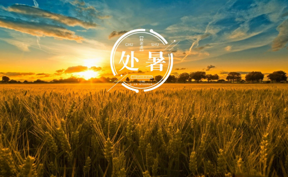 处暑后还要热多久?秋老虎何时结束