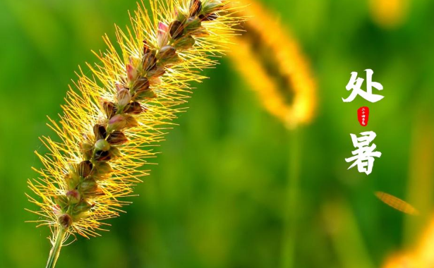 处暑后还要热多久?秋老虎何时结束