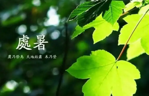 2025处暑温度多少度?秋老虎还会热多久