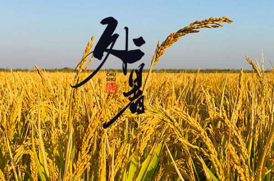 2025处暑温度多少度?秋老虎还会热多久