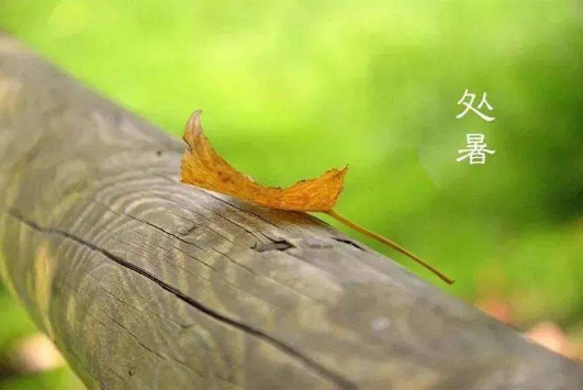 2025处暑晚上凉快吗?秋老虎还会来吗