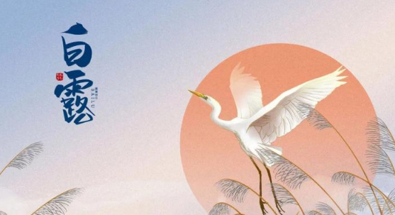 2025年白露冷不冷?秋老虎会持续多久