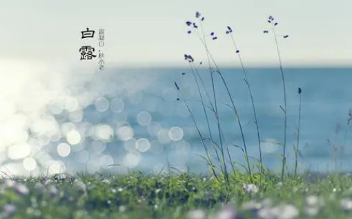 2025年白露冷不冷?秋老虎会持续多久