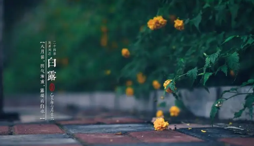 2025武汉白露后还热不热?秋老虎会持续多久