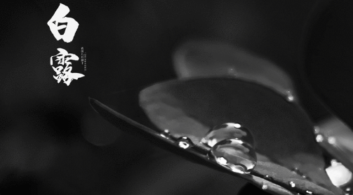 2025武汉白露后还热不热?秋老虎会持续多久