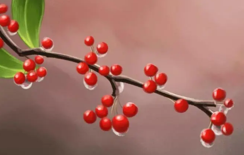 2025年白露后早晚有露水吗?秋燥如何应对