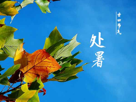 2025年处暑前一天是什么日子?七夕节怎么过