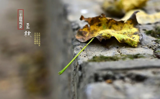 2025立秋后雨水多吗?秋雨会持续多久