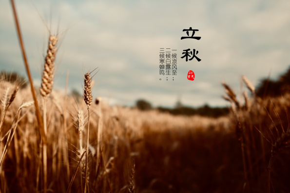 立秋后少吃哪三种瓜?哪类瓜果热度最高