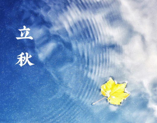 立秋后少吃哪三种瓜?哪类瓜果热度最高